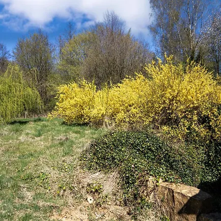 In With Sauna * Sainte-Cécile