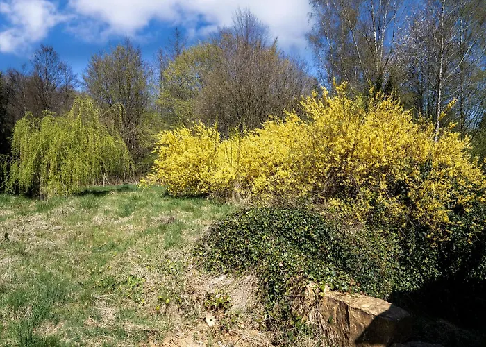 In With Sauna * Sainte-Cécile